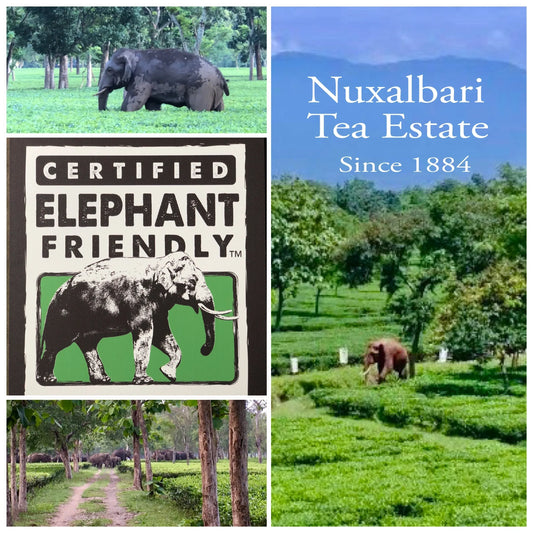 Nuxalbari Tea Estate now officially Certified Elephant Friendly™