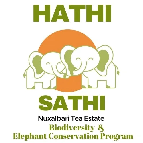 Hathi Sathi Launched!
