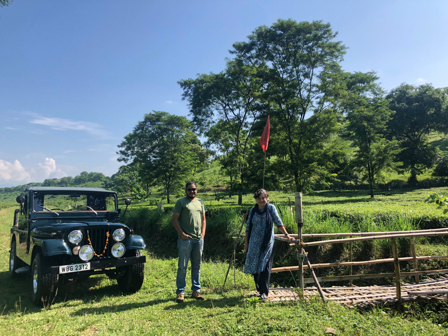 Half-Day Tea Farm & Factory Tour