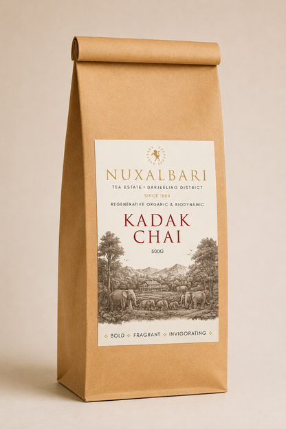 Kadak Chai Special 500g Family Pack